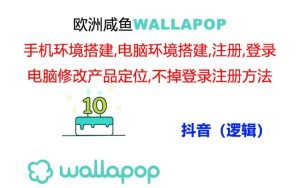 (11549期)wallapop整套详细闭环流程:最稳定封号率低的一个操作账号的办法-聊项目