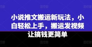 小说推文搬运新玩法,小白轻松上手,搬运发视频让搞钱更简单-聊项目