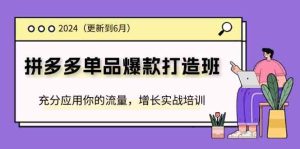 2024拼多多单品爆款打造班,充分应用你的流量,增长实战培训(更新6月)-聊项目