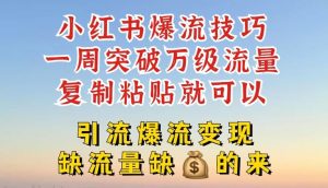 小红书爆流技巧，一周突破万级流量，复制粘贴就可以，引流爆流变现【揭秘】-聊项目