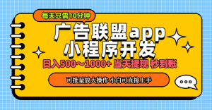 (11645期)小程序开发 广告赚钱 日入500~1000+ 小白轻松上手!-聊项目