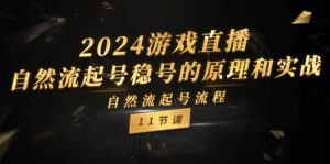 (11653期)2024游戏直播-自然流起号稳号的原理和实战,自然流起号流程(11节)-聊项目