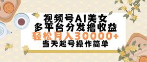 (11684期)视频号AI美女,轻松月入30000+,操作简单轻松上手-聊项目