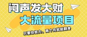 (11688期)闷声发大财,大流量项目,月收益过3万,只要你努力,两个月就能翻身-聊项目
