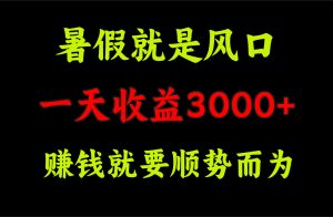 (11670期)一天收益3000+ 赚钱就是顺势而为,暑假就是风口-聊项目