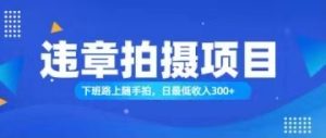 (11698期)随手拍也能赚钱?对的日入300+-聊项目