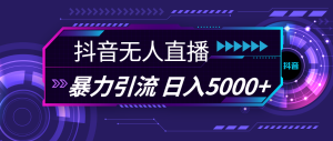 (11709期)抖音无人直播,暴利引流,日入5000+-聊项目