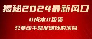 (11727期)揭秘2024最新风口,0成本0垫资,新手小白只要动手就能赚钱的项目—空调-聊项目