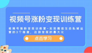 视频号涨粉变现训练营-实现微信生态私域运营的3个维度,达到变现的最大化-聊项目