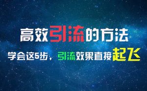 (11776期)高效引流的方法,可以帮助你日引300+创业粉,一年轻松收入30万,比打工强-聊项目