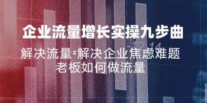 (11822期)企业流量增长实战九步曲,解决流量=解决企业焦虑难题,老板如何做流量-聊项目