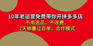 (11853期)拼多多 最新合作开店日收4000+两天销量过百单,无学费、老运营代操作、…-聊项目