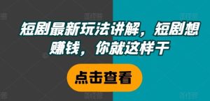 短剧最新玩法讲解,短剧想赚钱,你就这样干-聊项目