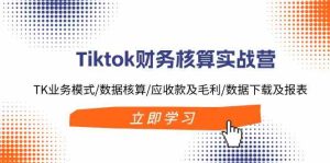 Tiktok财务核算实战营:TK业务模式/数据核算/应收款及毛利/数据下载及报表-聊项目