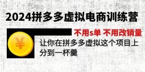 (12024期)2024拼多多虚拟电商训练营 不s单 不改销量  做虚拟项目分一杯羹(更新10节)-聊项目