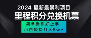 (12016期)2024最新里程积分兑换机票,手机操作小白轻松月入5万++-聊项目