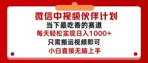 (12017期)微信中视频伙伴计划,仅靠搬运就能轻松实现日入500+,关键操作还简单,…-聊项目