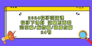 2024钩子引流课:钩子下得好流量不再愁,定位篇/标签篇/破播放篇/24节-聊项目