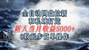 全自动网盘拉新和私域打造,0粉起步简单操作,新人入门当月收益5000以上-聊项目