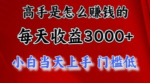 (12144期)1天收益3000+,月收益10万以上,24年8月份爆火项目-聊项目