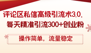 (12145期)评论区私信高级引流术3.0,每天精准引流300+创业粉,操作简单,流量稳定-聊项目