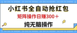 (12151期)最新小红书全自动抢红包,单号一天50+  矩阵操作日入300+,纯无脑操作-聊项目