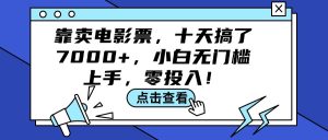 (12161期)靠卖电影票,十天搞了7000+,小白无门槛上手,零投入!-聊项目