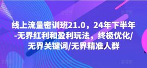 线上流量密训班21.0,24年下半年-无界红利和盈利玩法,终极优化/无界关键词/无界精准人群-聊项目