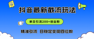 (12197期)2024年抖音评论区最新截流玩法,日引200+创业粉,日稳定变现四位数实操…-聊项目