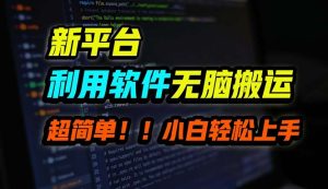 (12203期)B站平台用软件无脑搬运,月赚10000+,小白也能轻松上手-聊项目