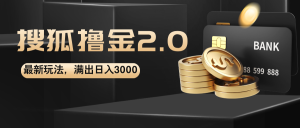 (12212期)搜狐撸金2.0最新玩法,无脑日入3000+,可无限扩大-聊项目