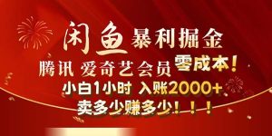 (12236期)闲鱼全新暴力掘金玩法,官方正品影视会员无成本渠道!小白1小时收…-聊项目