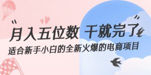 (12241期)月入五位数 干就完了 适合新手小白的全新火爆的电商项目-聊项目