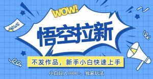 (12243期)悟空拉新最新玩法,无需作品暴力出单,小白快速上手-聊项目