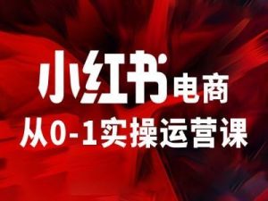 小红书电商从0-1实操运营课,让你从小白到精英-聊项目