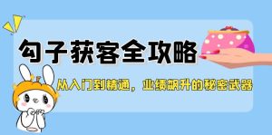 (12247期)从入门到精通,勾子获客全攻略,业绩飙升的秘密武器-聊项目