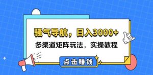 (12255期)日入3000+ 骚气导航,多渠道矩阵玩法,实操教程-聊项目