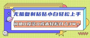 (12258期)无脑复制粘贴,小白轻松上手,电商0投资0成本轻松月入3W+-聊项目