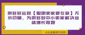 拼多多运营【聪明卖家都在做】无水印版,为拼多多中小卖家解决业绩增长难题-聊项目