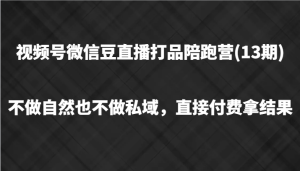 视频号微信豆直播打品陪跑(13期),不做不自然流不做私域,直接付费拿结果-聊项目