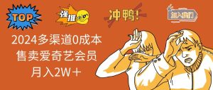 (12317期)2024多渠道0成本售卖爱奇艺会员月入2W+-聊项目