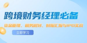 (12323期)跨境 财务经理必备:资金管理、税务规划、财报汇报与IPO实战-聊项目