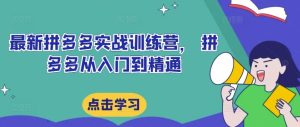 最新拼多多实战训练营, 拼多多从入门到精通-聊项目