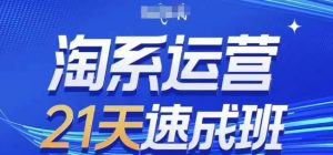淘系运营21天速成班(更新24年8月),0基础轻松搞定淘系运营,不做假把式-聊项目