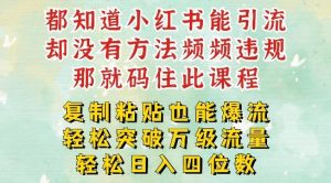 小红书靠复制粘贴一周突破万级流量池干货,以减肥为例,每天稳定引流变现四位数【揭秘】-聊项目