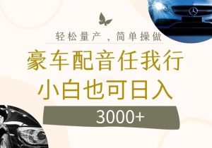 不为人知的暴力小项目,豪车配音,日入几张【揭秘】-聊项目