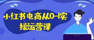 小红书电商从0-1实操运营课,小红书手机实操小红书/IP和私域课/小红书电商电脑实操板块等-聊项目