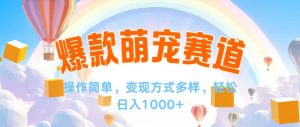 (12473期)视频号爆款赛道,操作简单,变现方式多,轻松日入1000+-聊项目