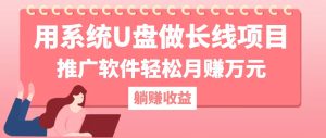 用系统U盘做长线项目,推广软件轻松月赚万元(附制作教程+软件-聊项目