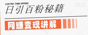 最新闲鱼引流创业粉,日引100+,网创项目虚变现讲解【揭秘】-聊项目